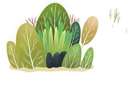 林心如霍建华婚礼